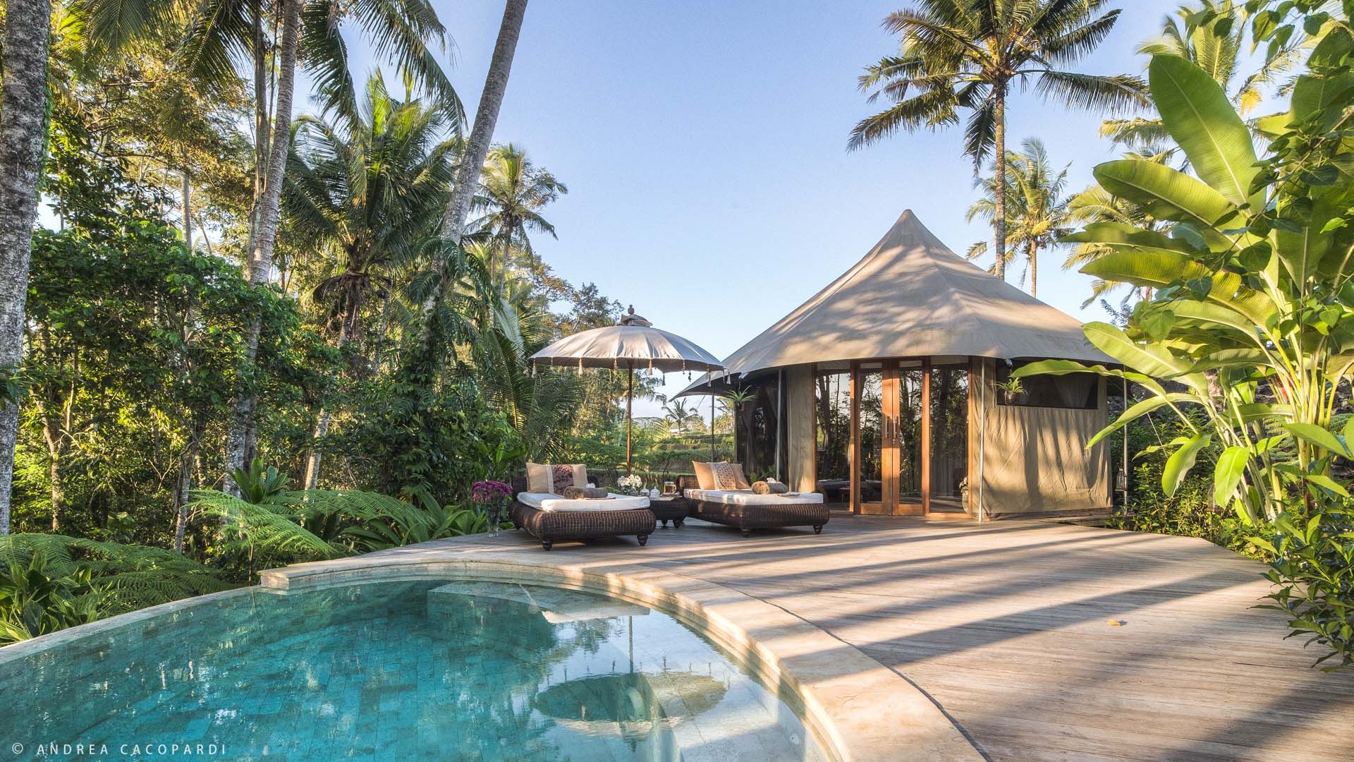 Bateleur Glamping Tent Tropical Glamping Tents