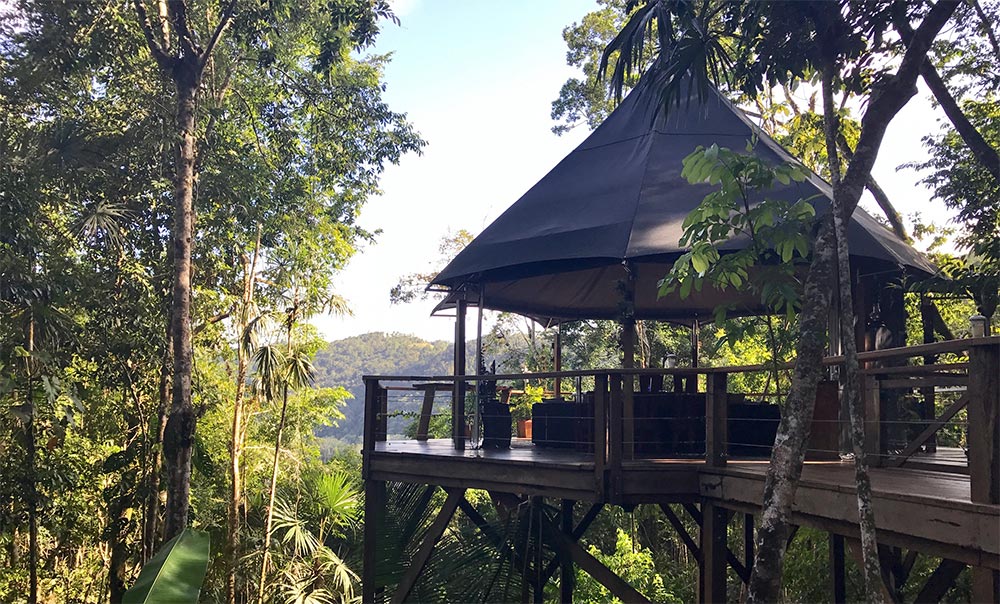 bat Lounge Tents