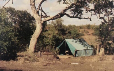 BIOGRAPHY FEATURE: A journey through tents