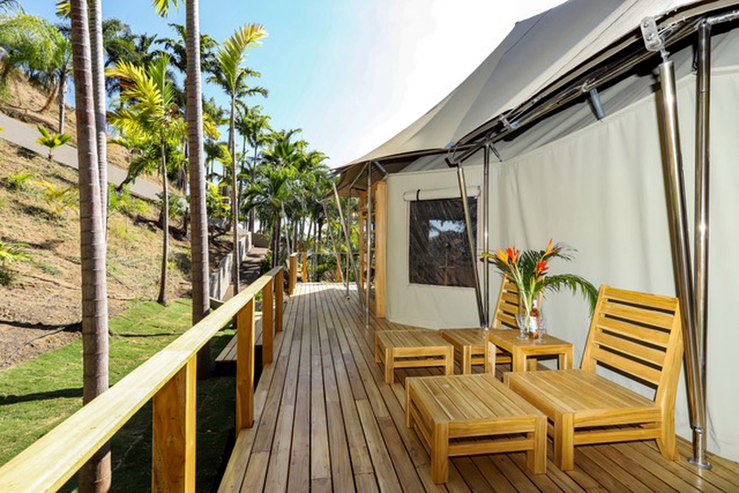 Tropical Tents